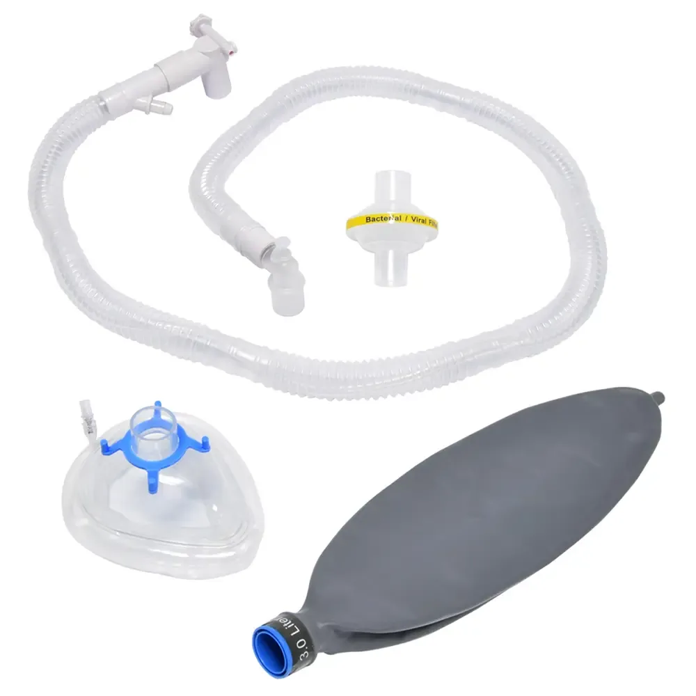 Circuito Bain Adulto